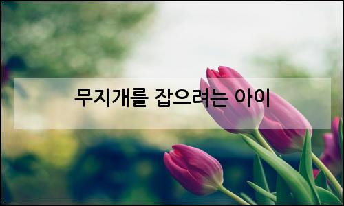 오늘의 이미지