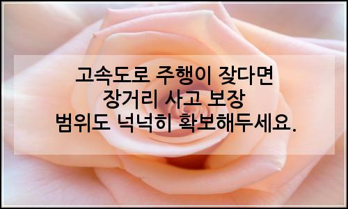 오늘의 이미지