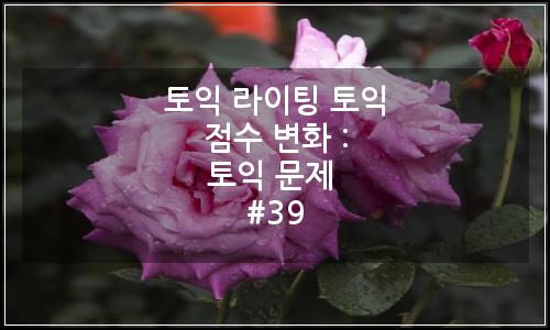 오늘의 이미지