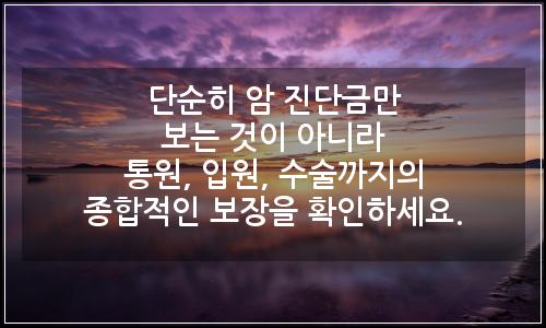 오늘의 이미지