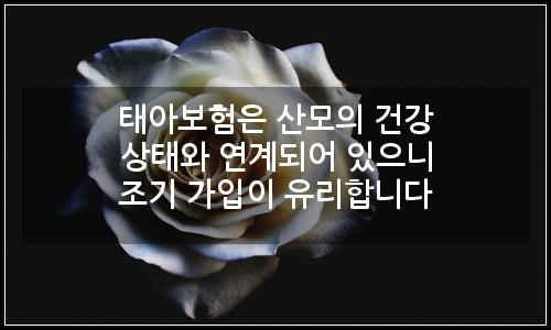 오늘의 이미지