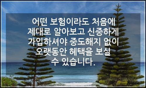 오늘의 이미지