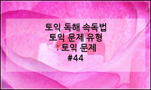 오늘의 이미지