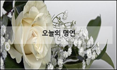 오늘의 이미지