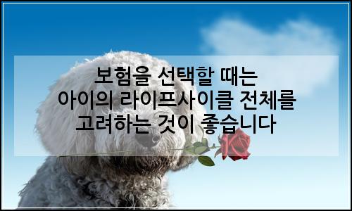 오늘의 이미지