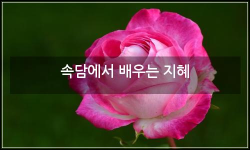 오늘의 이미지