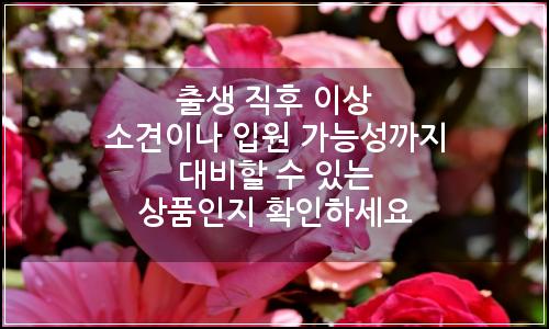 오늘의 이미지