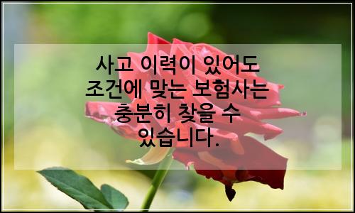 오늘의 이미지