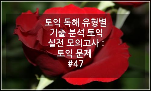 오늘의 이미지