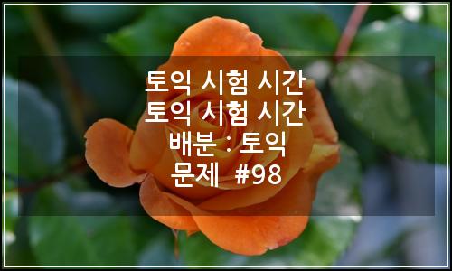 오늘의 이미지
