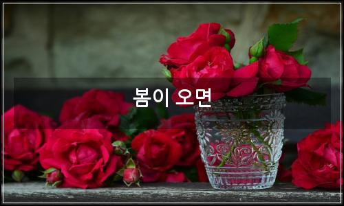 오늘의 이미지