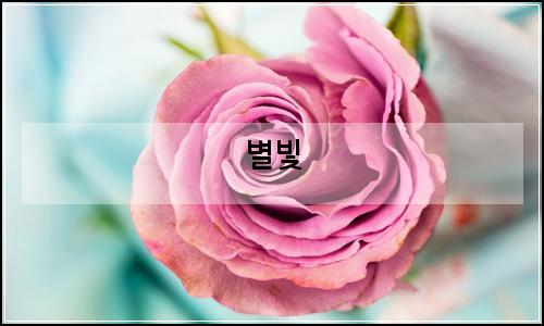 오늘의 이미지