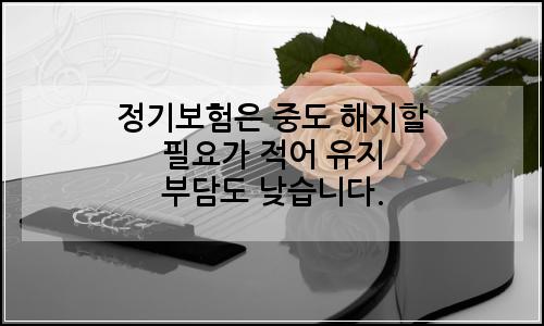 오늘의 이미지
