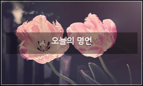 오늘의 이미지