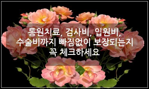 오늘의 이미지