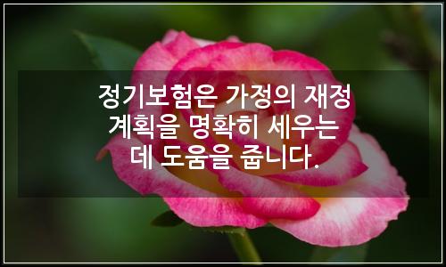 오늘의 이미지