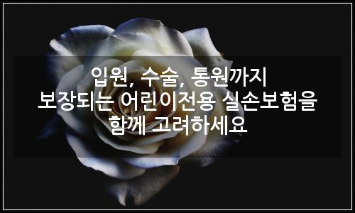 오늘의 이미지