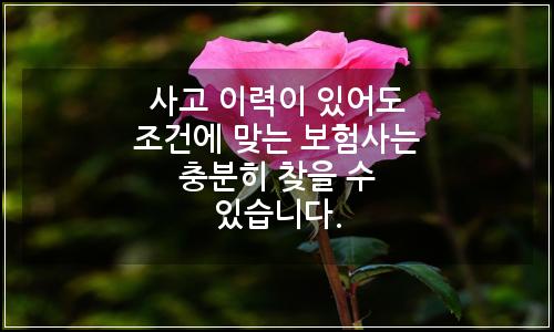 오늘의 이미지