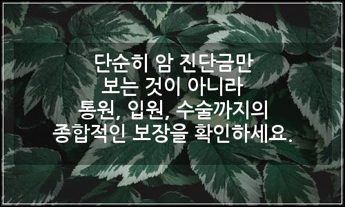 오늘의 이미지