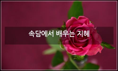 오늘의 이미지