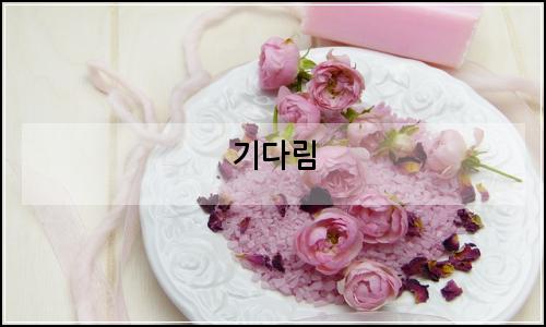 오늘의 이미지