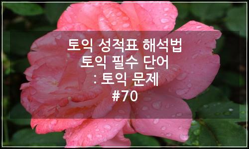 오늘의 이미지