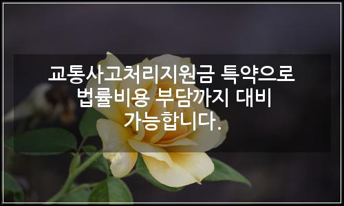 오늘의 이미지