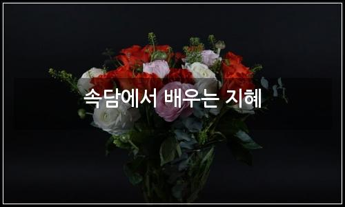 오늘의 이미지