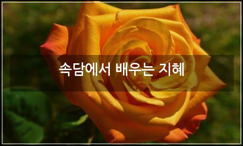 오늘의 이미지