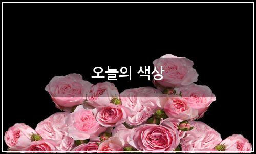 오늘의 이미지