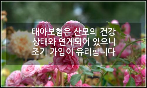 오늘의 이미지