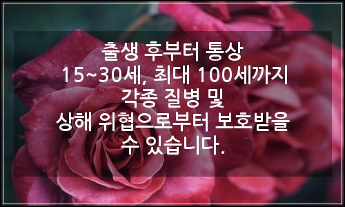 오늘의 이미지