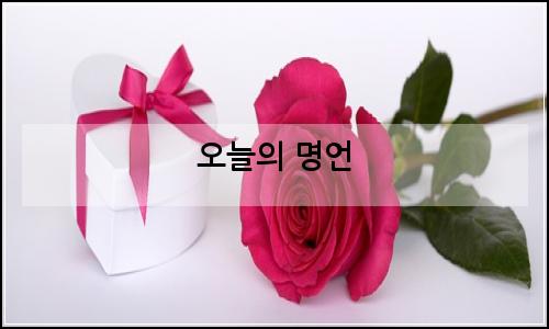 오늘의 이미지