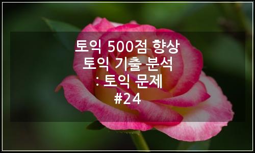 오늘의 이미지