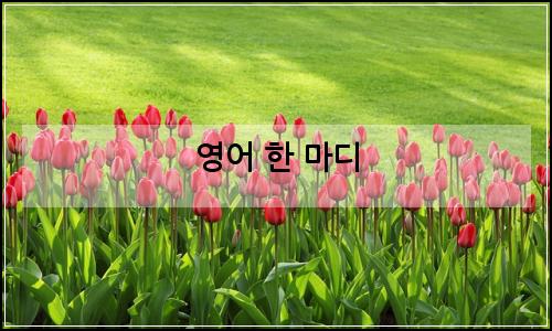 오늘의 이미지
