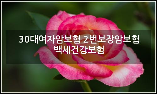 오늘의 이미지