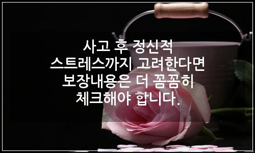오늘의 이미지