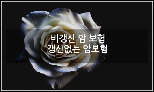 오늘의 이미지
