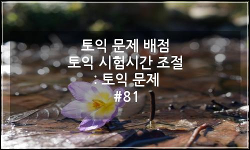 오늘의 이미지