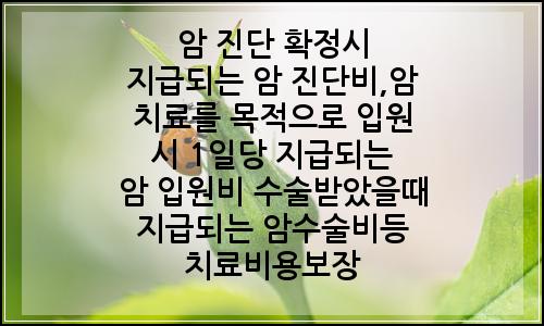 오늘의 이미지