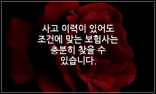 오늘의 이미지