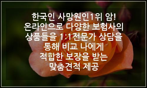오늘의 이미지