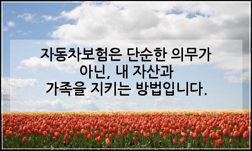 오늘의 이미지