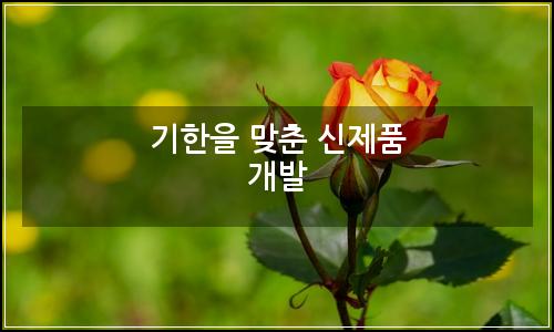 오늘의 이미지