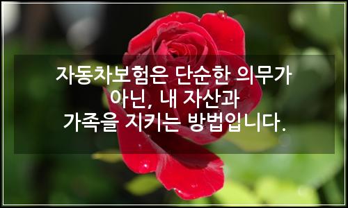 오늘의 이미지