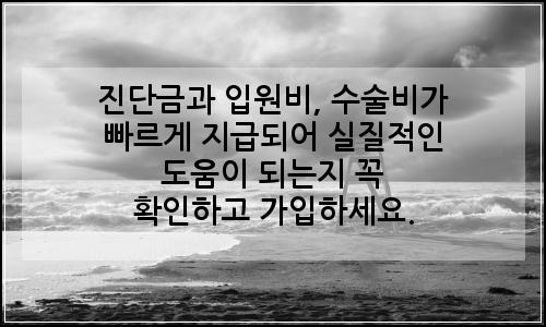 오늘의 이미지