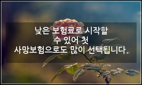 오늘의 이미지