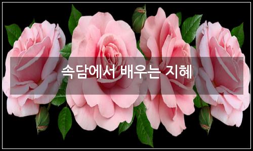 오늘의 이미지