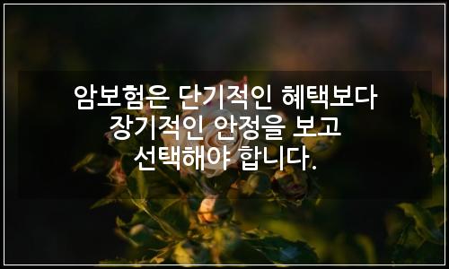 오늘의 이미지