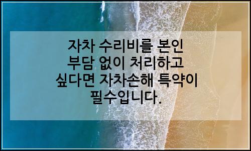 오늘의 이미지